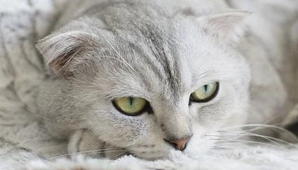 BOB半岛体育：让热爱奔跑在数字海洋里